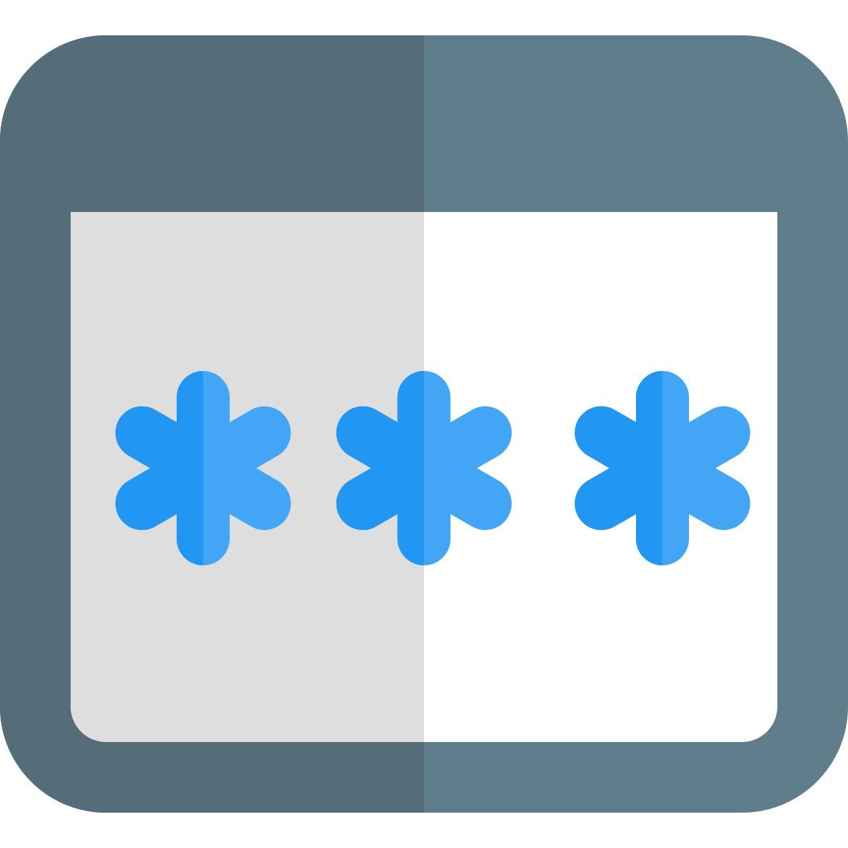 password icon