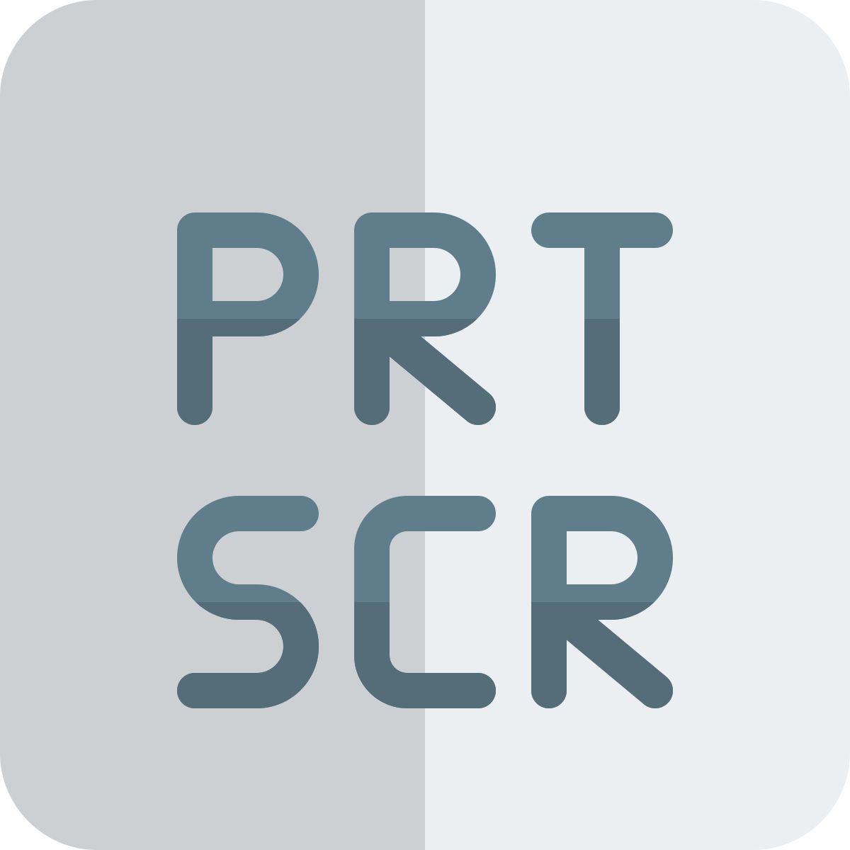 prt scr icon