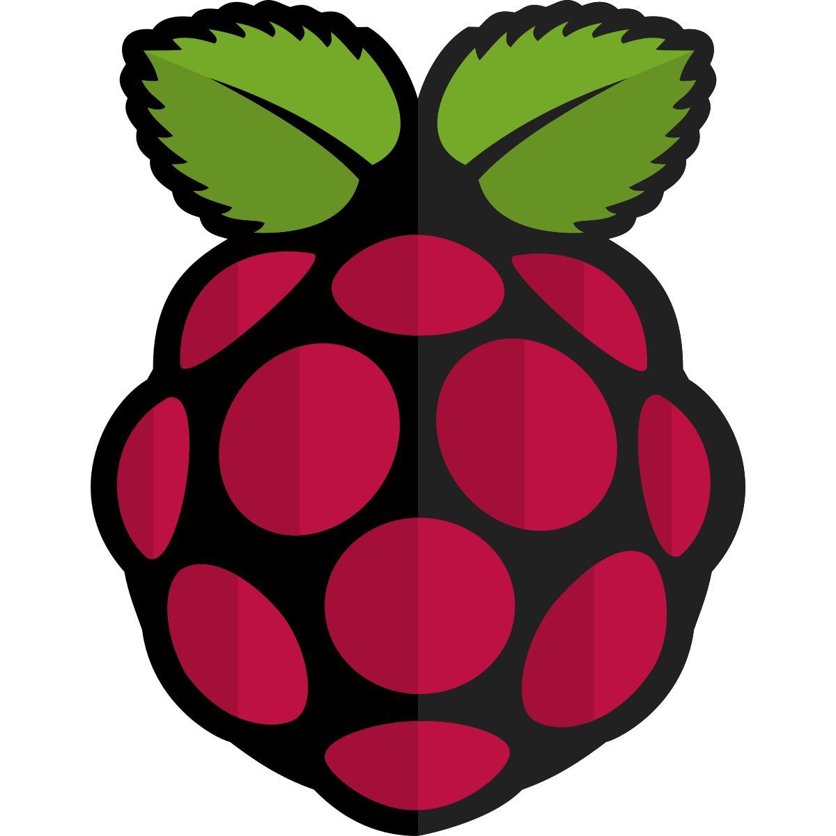 raspberry pi icon