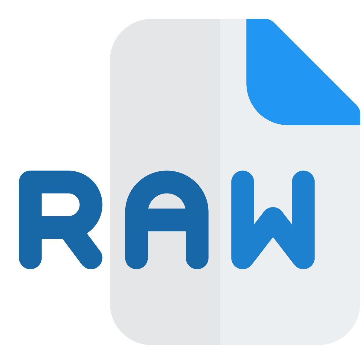 raw file icon
