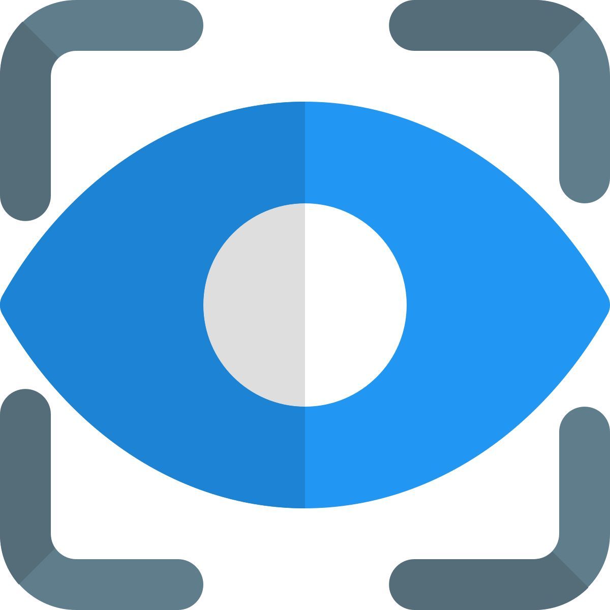 Escaneo de retina en el teléfono para evitar el código de acceso icon