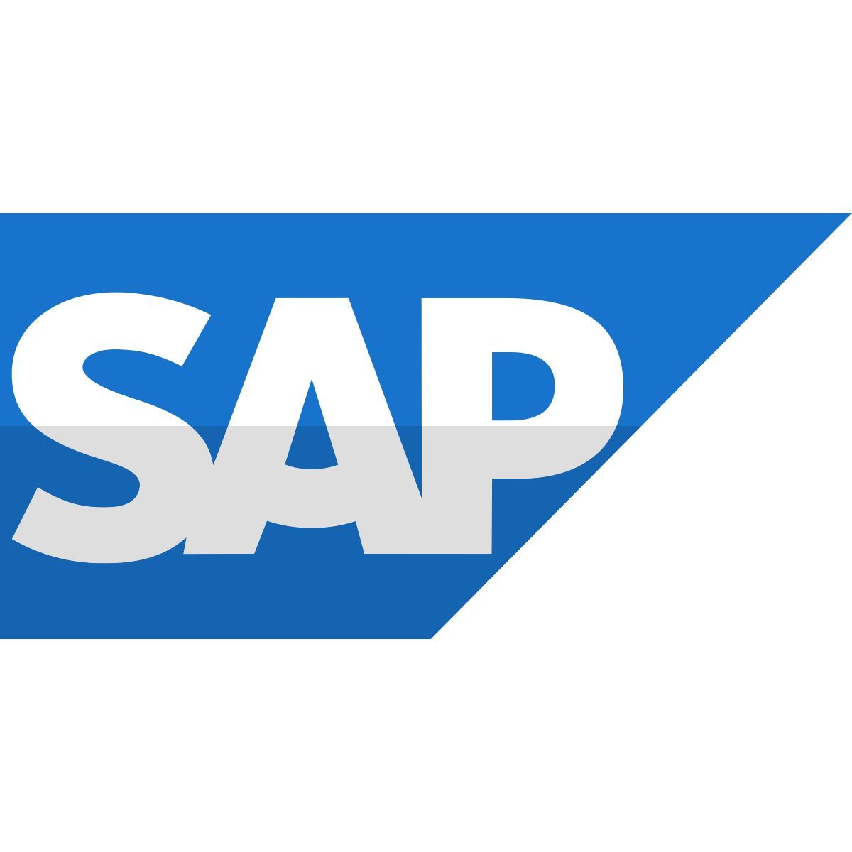 sap erp icon