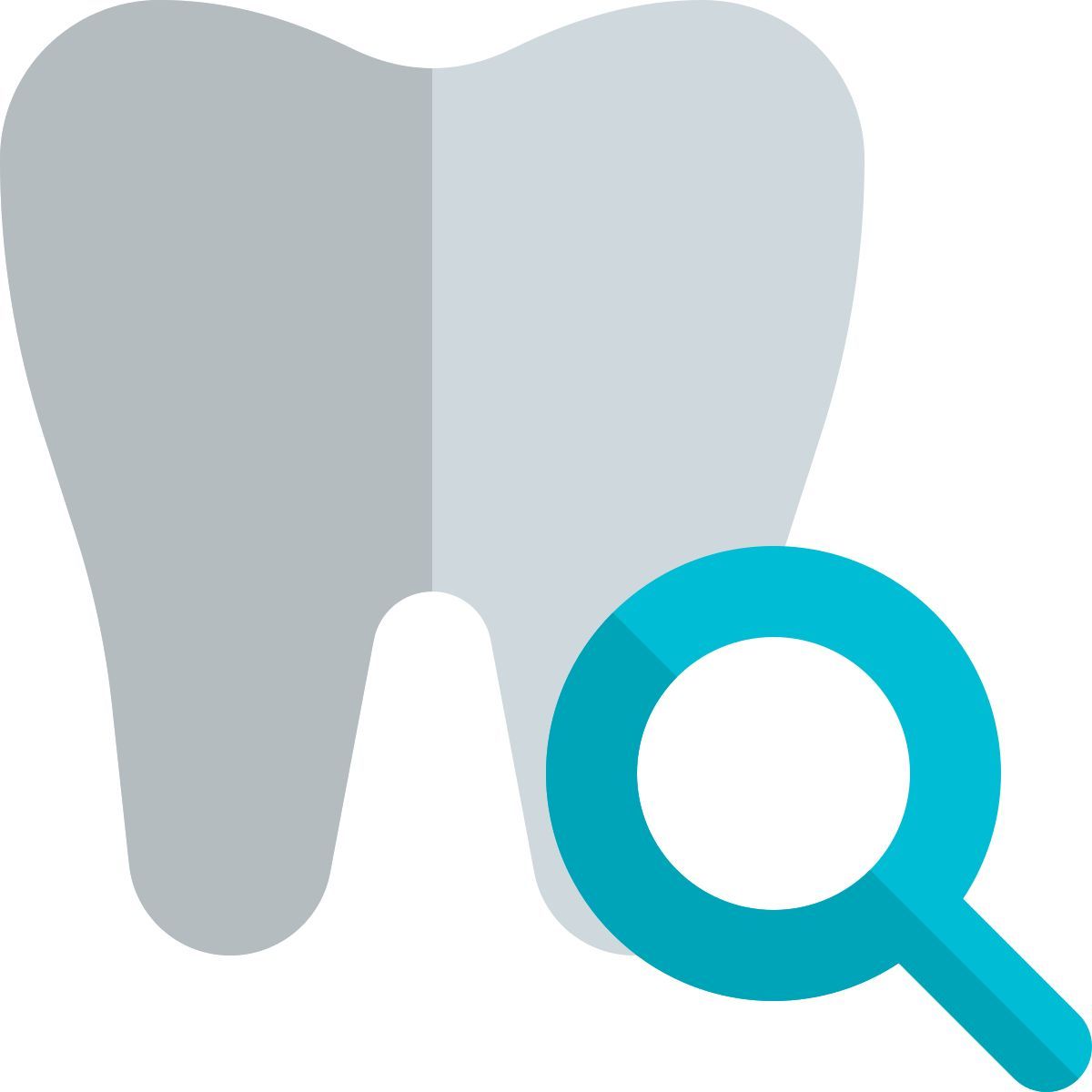 外部搜索当地牙科护理诊所，带放大镜标识牙科阴影 tal revivo icon