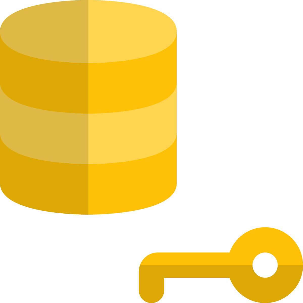 database authentication key icon