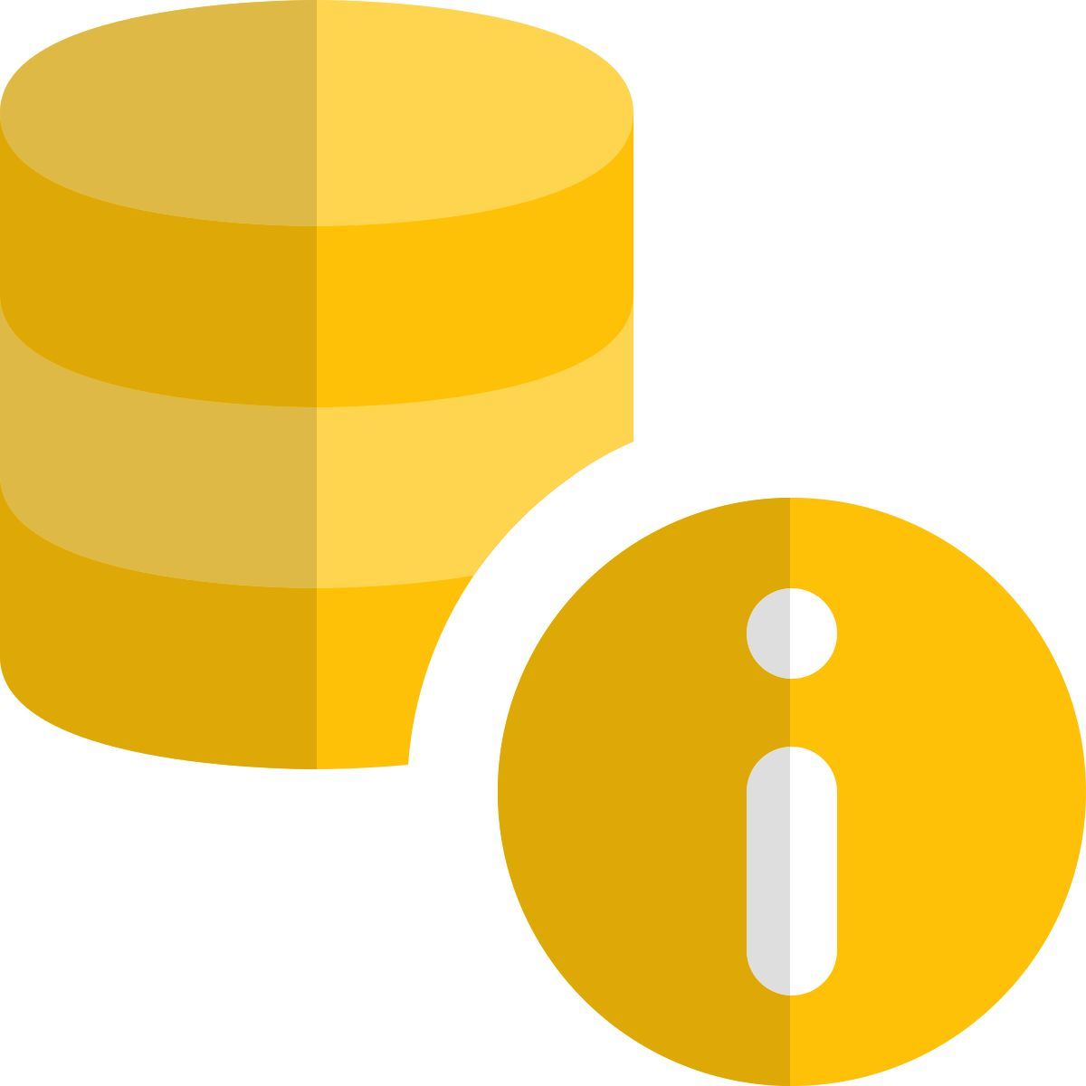 informazioni sul database icon
