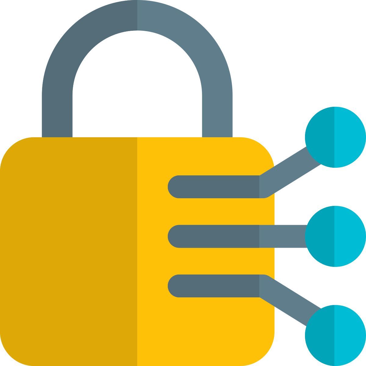 lock network icon