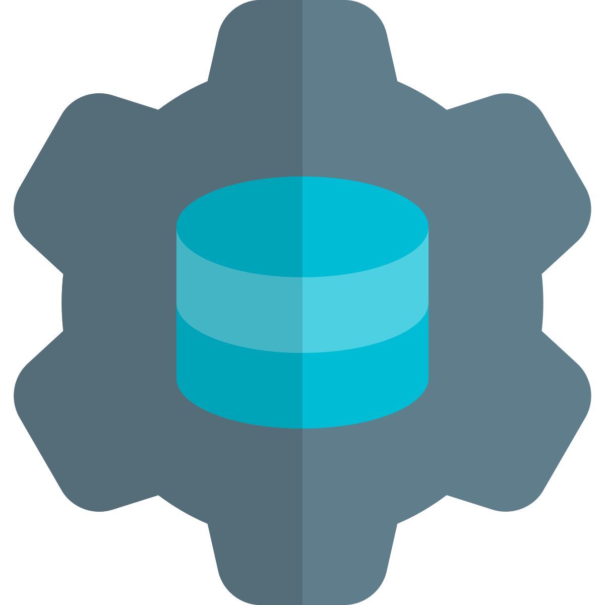 Database Settings icon