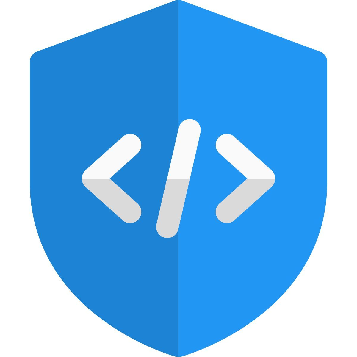 secure programming icon