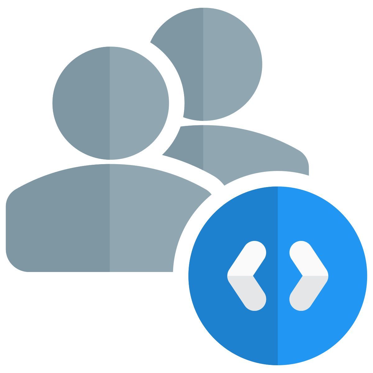 programmeurs icon