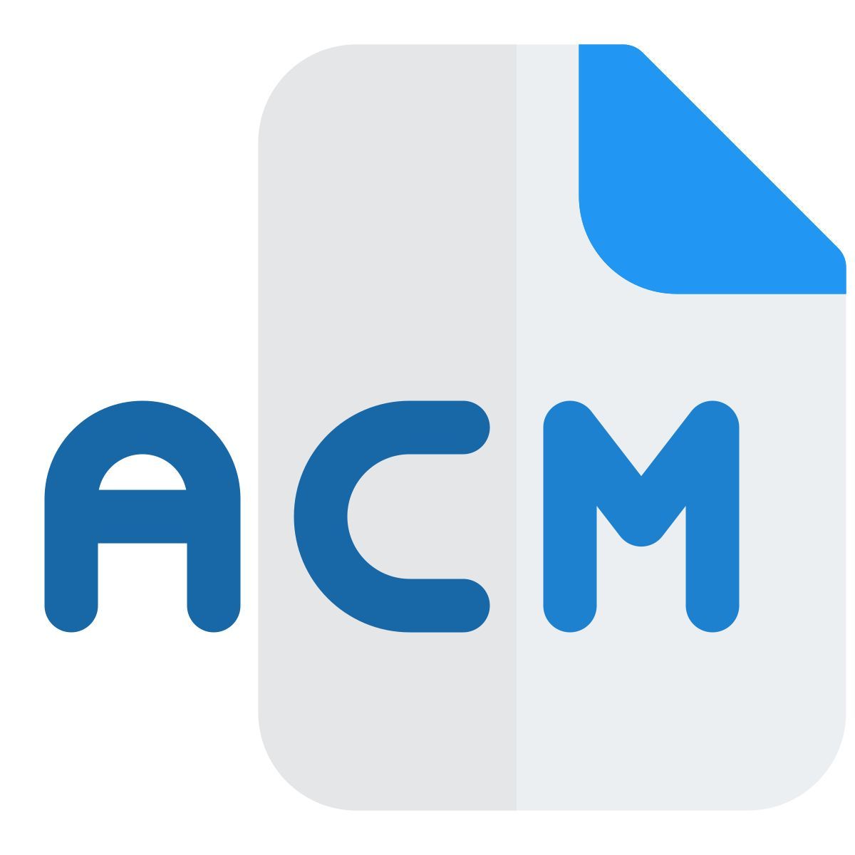 fichier acm icon