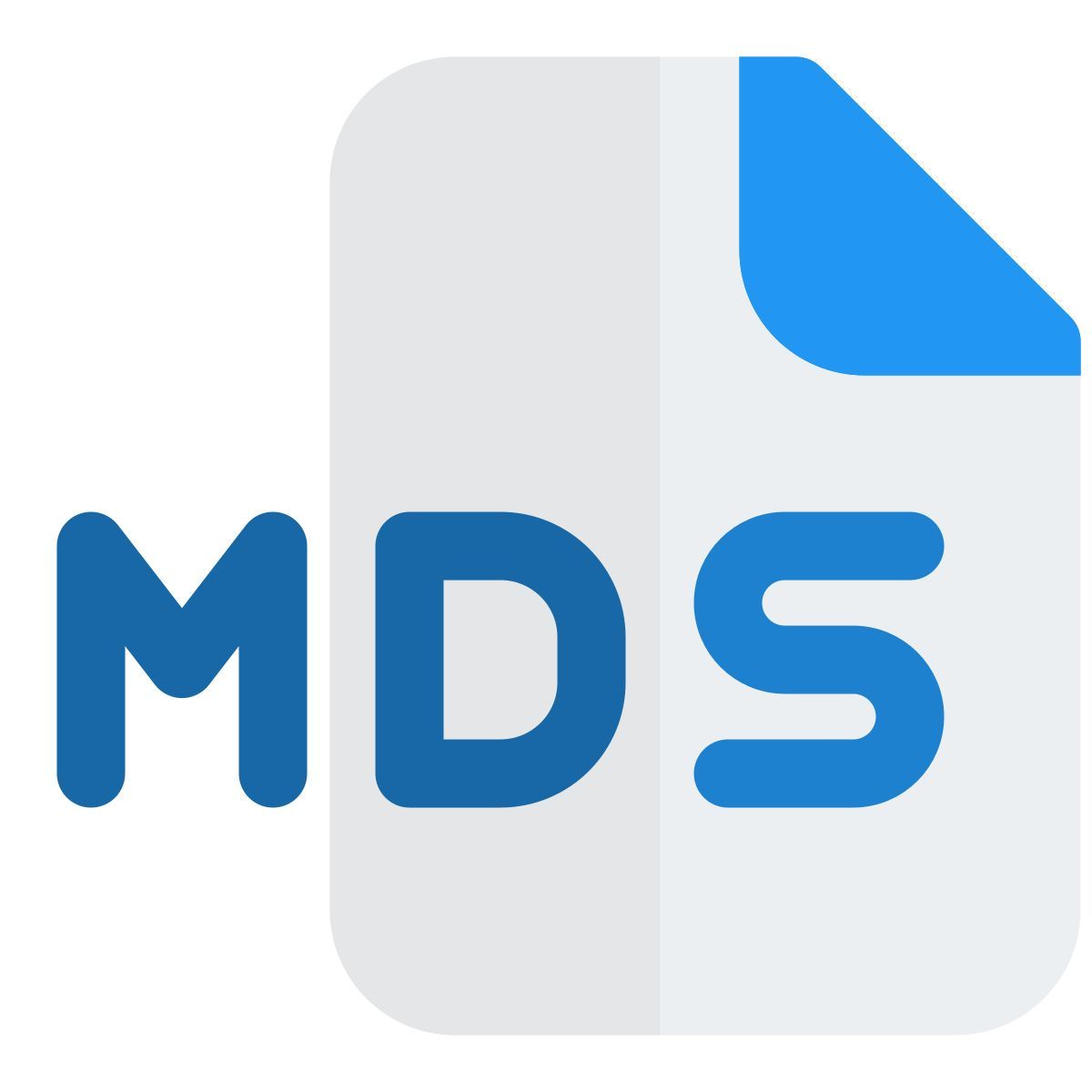 MDS文件 icon
