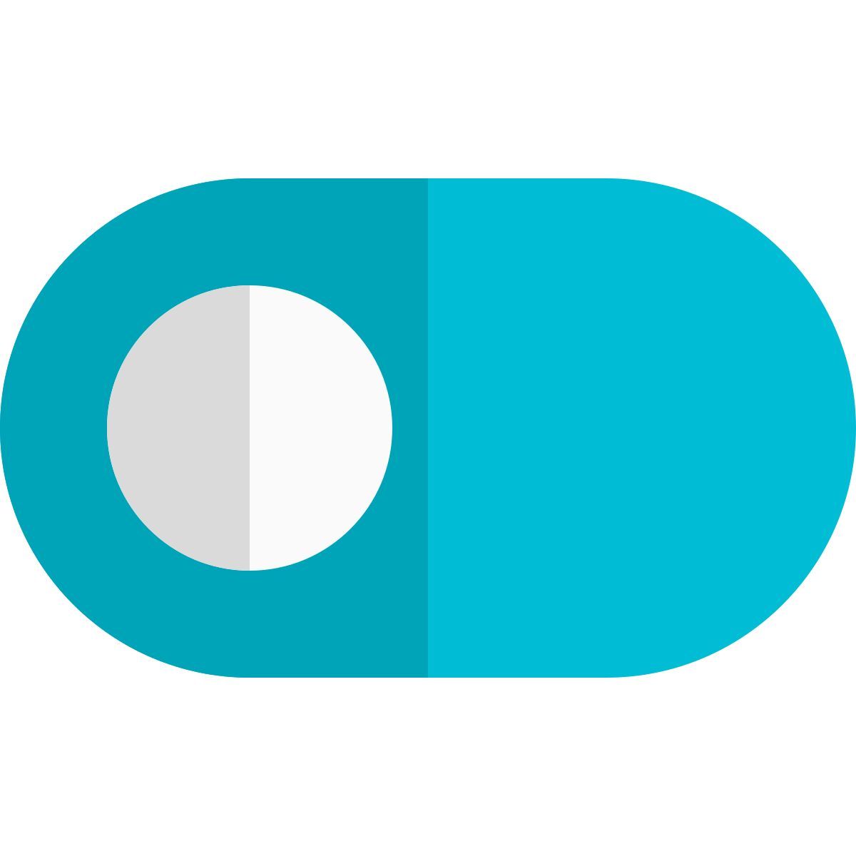 toggle off icon