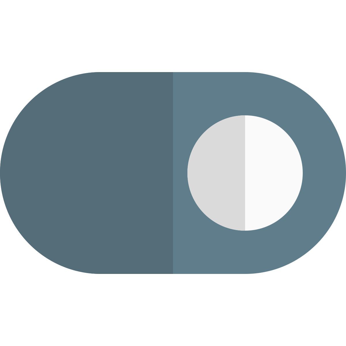 toggle on icon