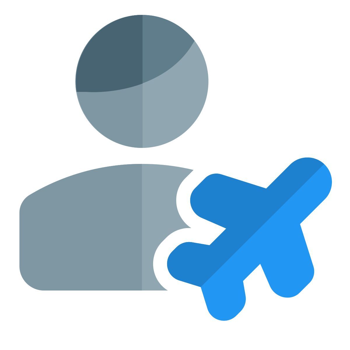 flight passenger icon