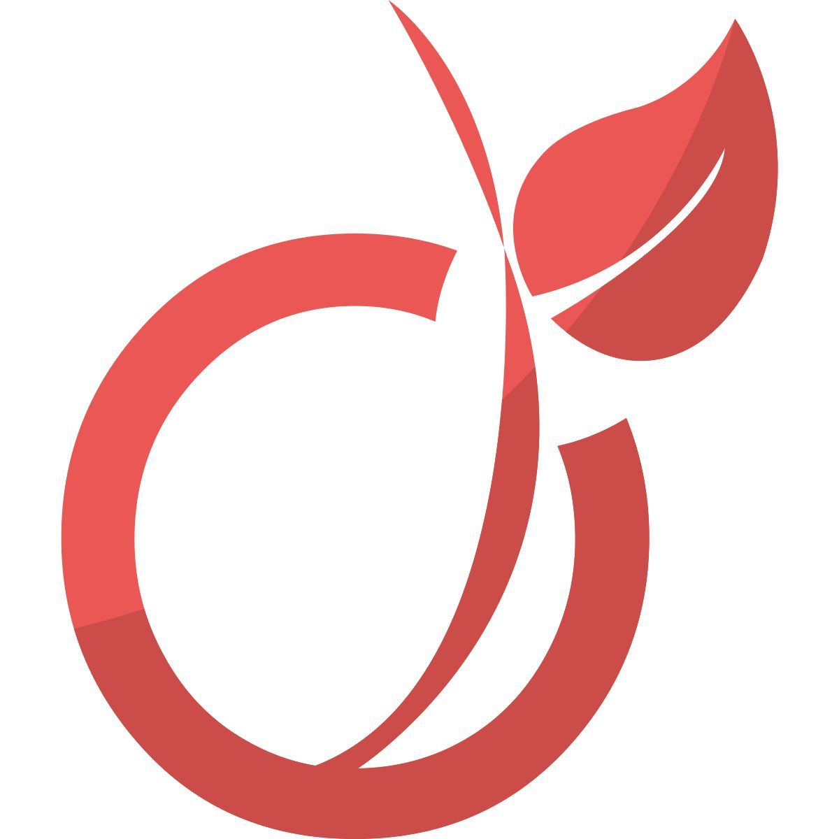 viadéo icon
