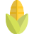 external grilled-sweet-corn-as-a-common-dish-for-festive-season-thanksgiving-shadow-tal-revivo icon