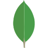 external-mongodb-a-cross-platform-document-oriented-database-program-logo-shadow-tal-revivo
