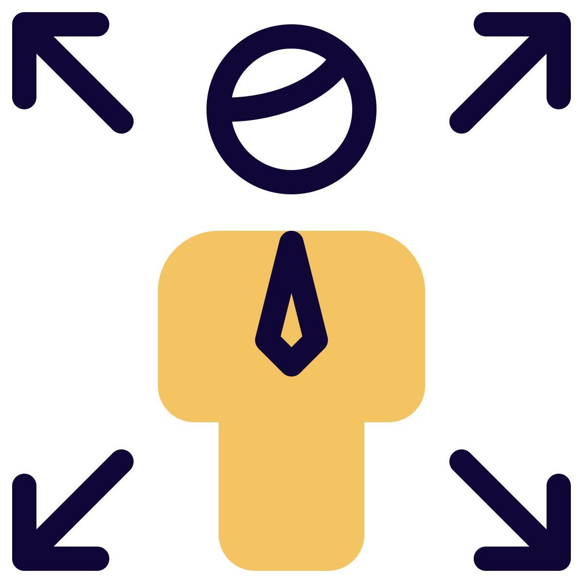 enlarge function of user handling computer layout icon