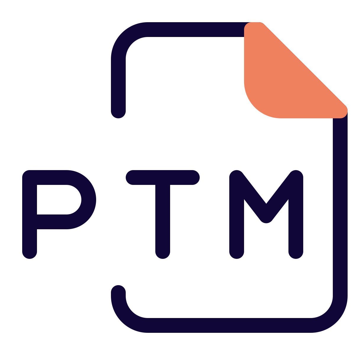 ptm file icon