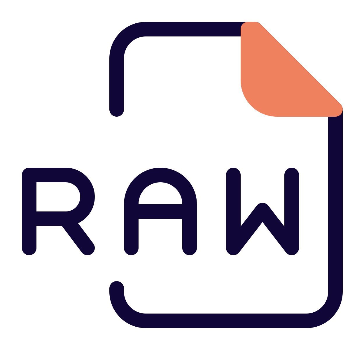 raw file icon