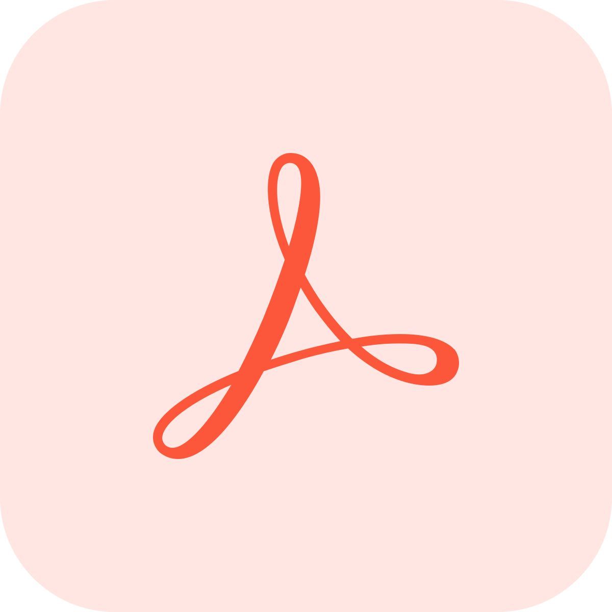adobe acrobat reader icon