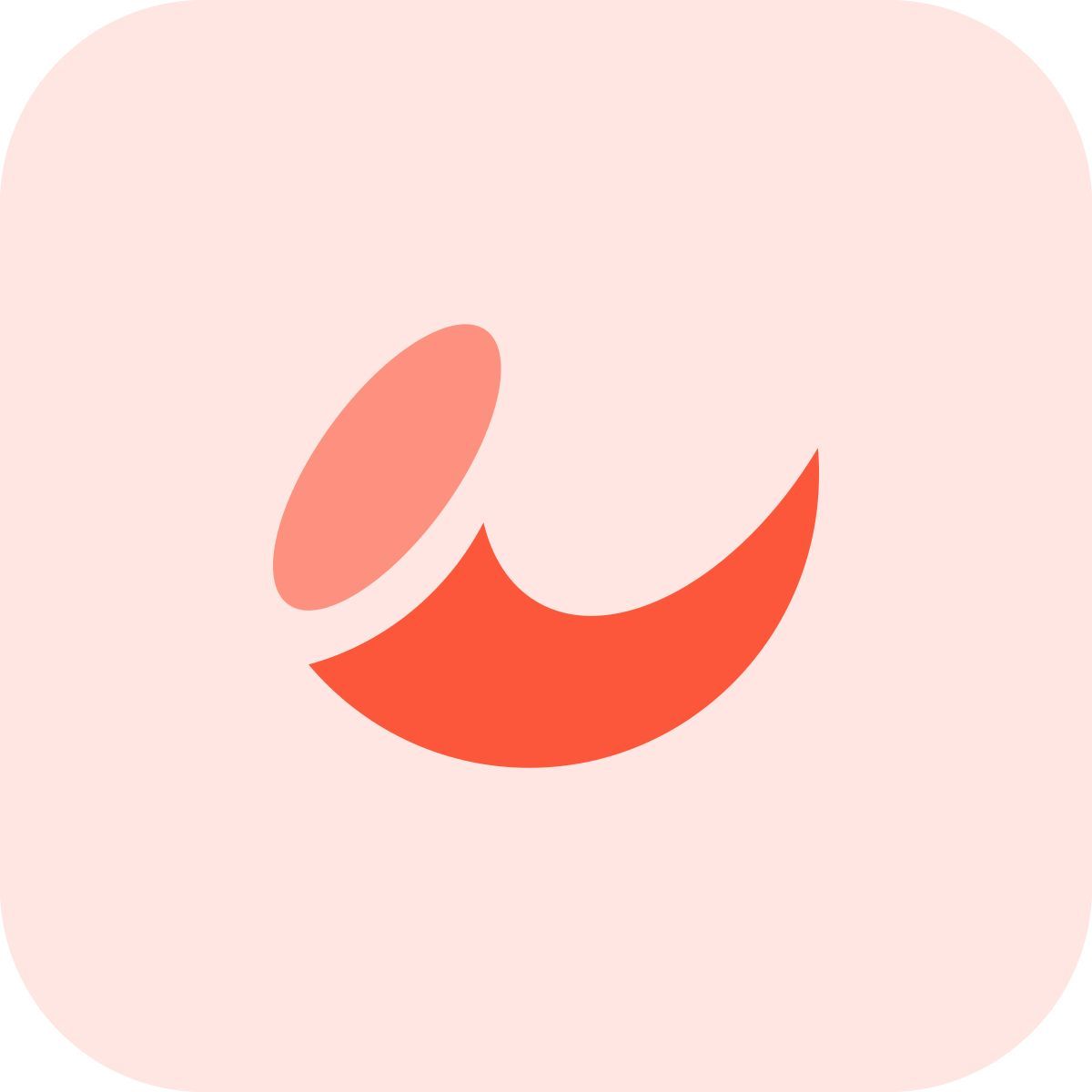 tema de afiliados icon