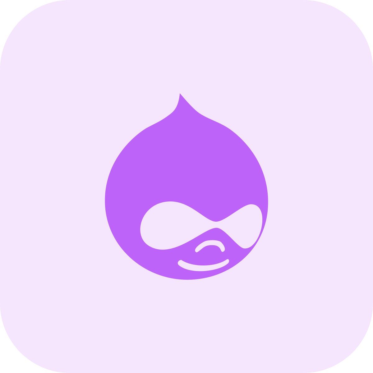 drupal icon