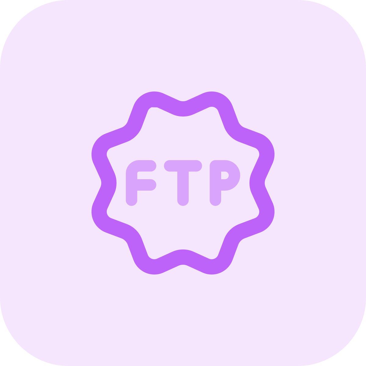 insigne ftp icon