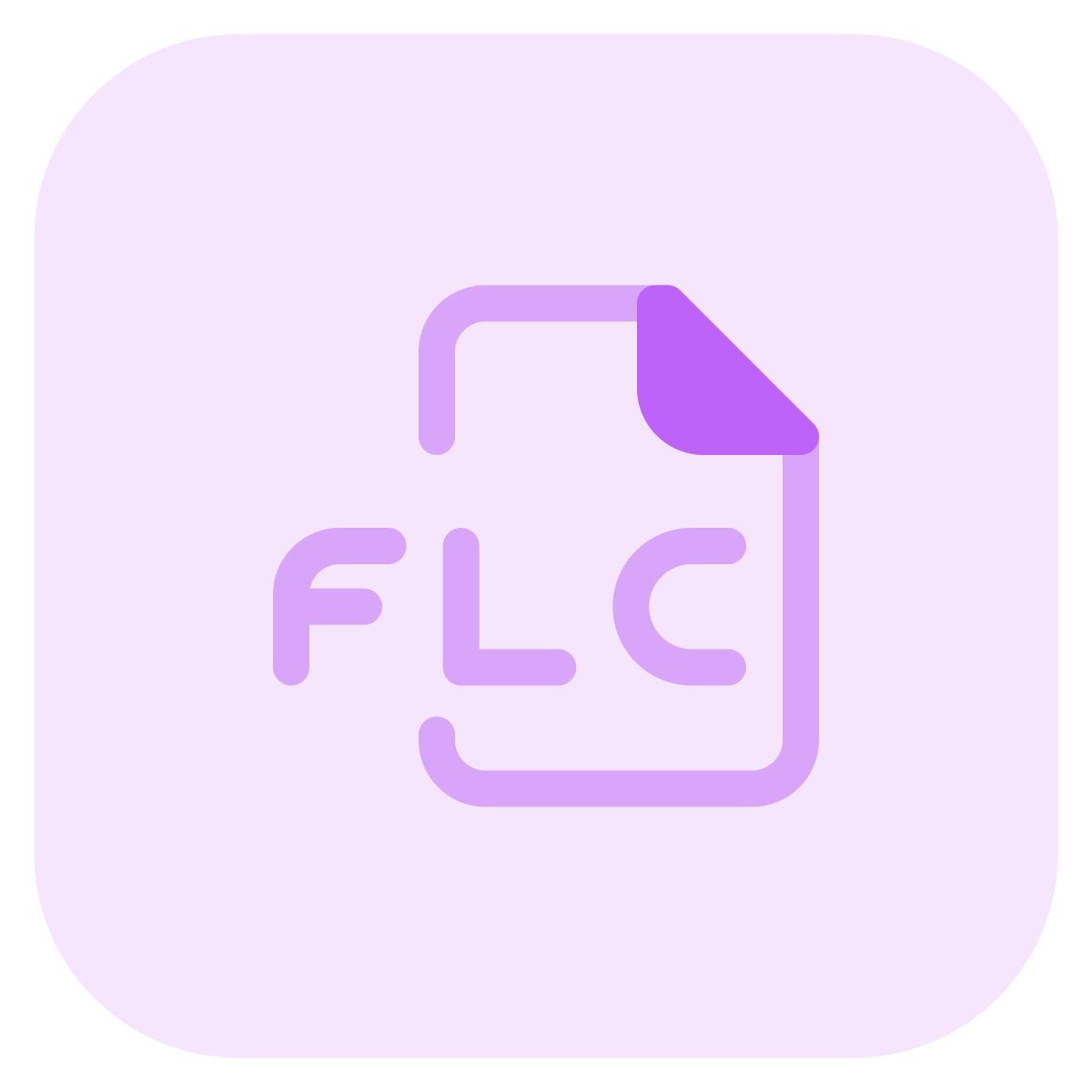 flc 파일 icon