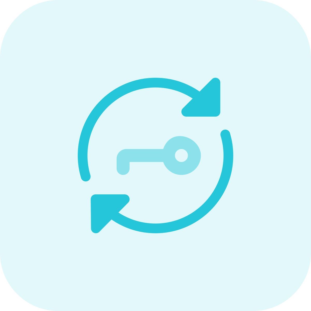 sincronização criptografada icon