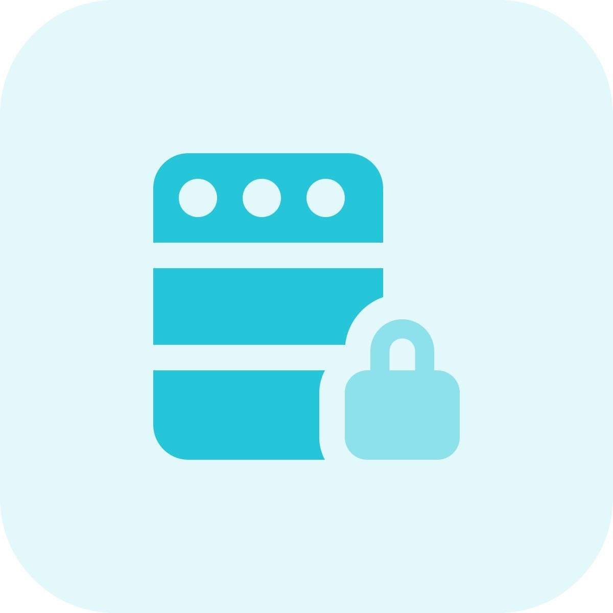 secure server icon