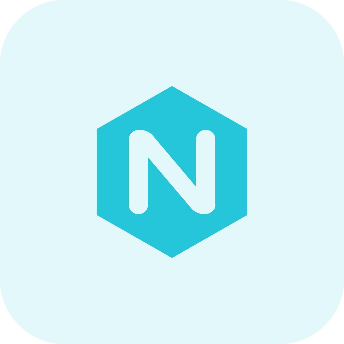 nginx icon