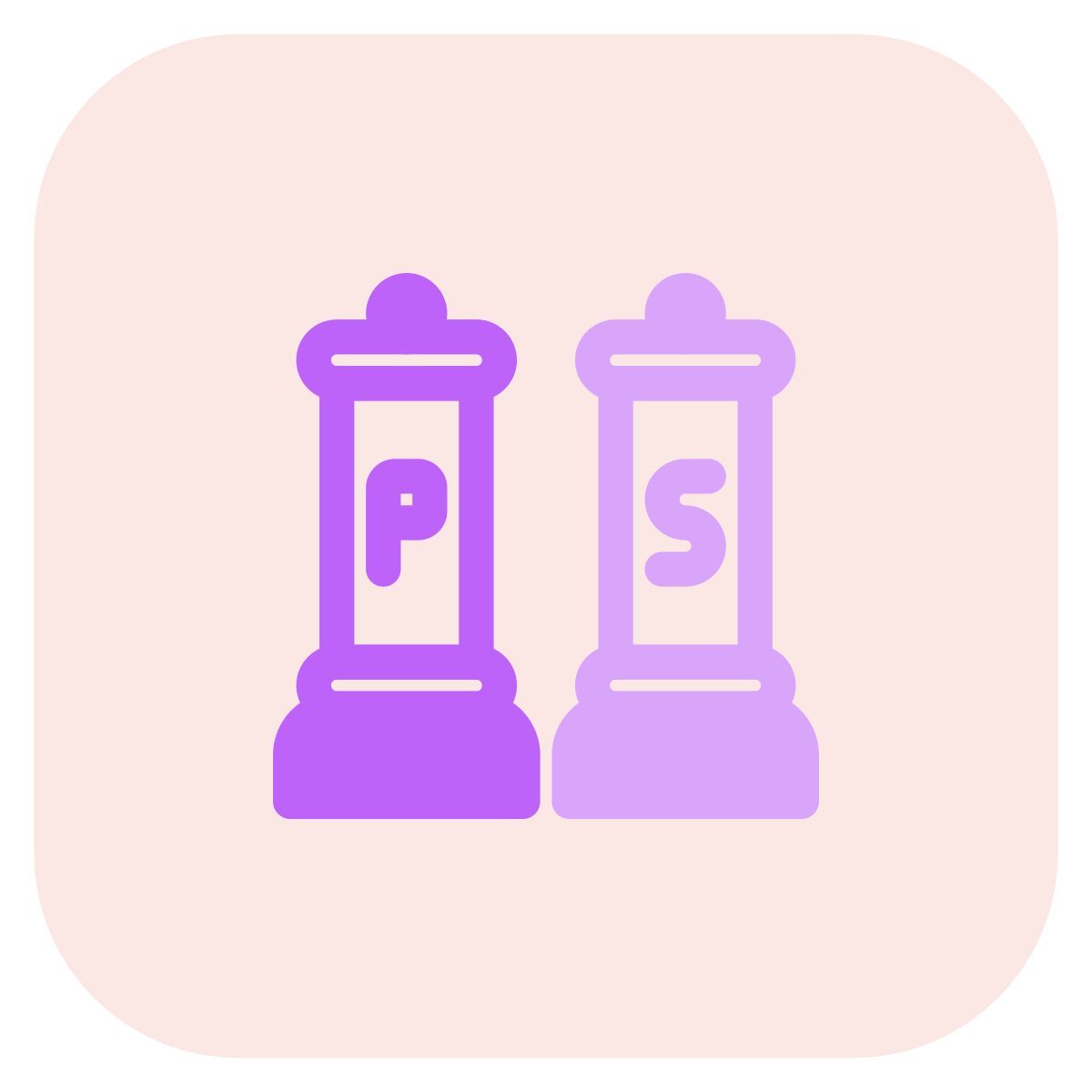 salt and pepper icon