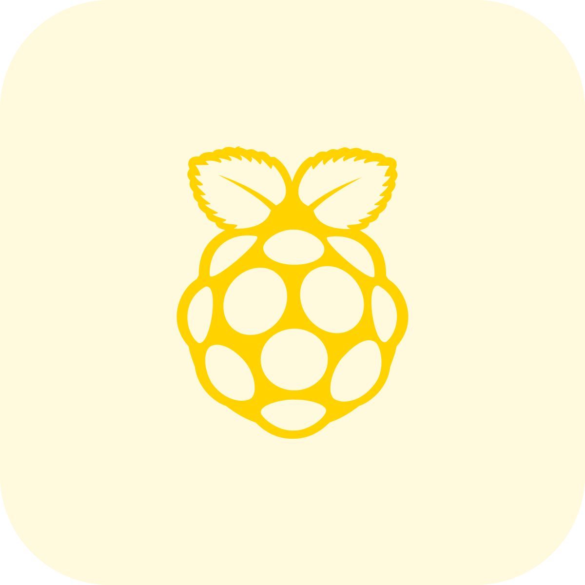 raspberry pi icon