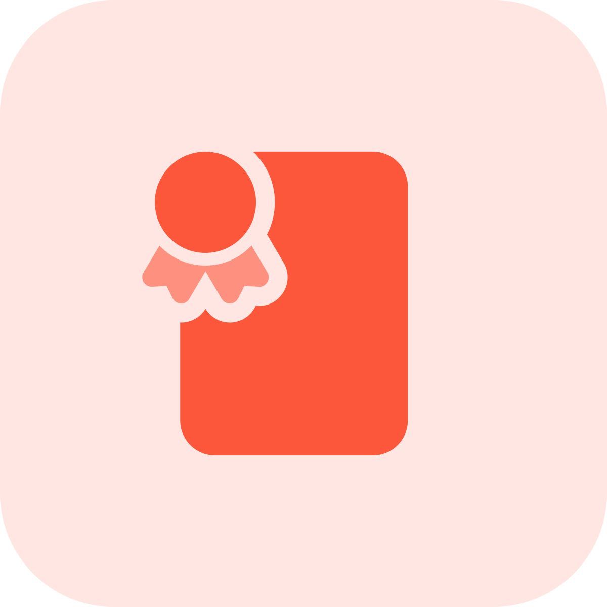 zertifikat icon