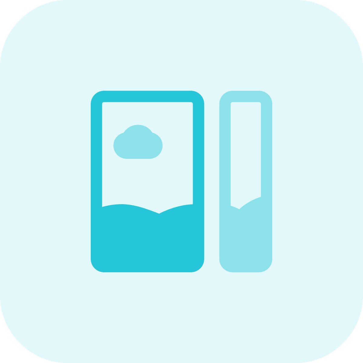 picture icon