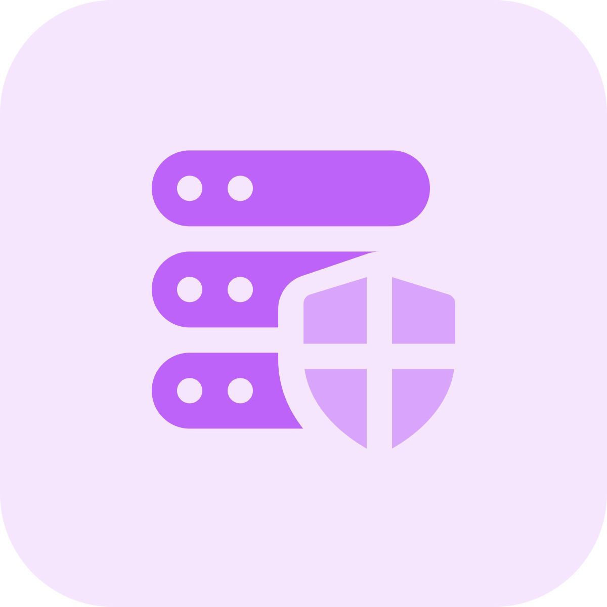 secure server icon