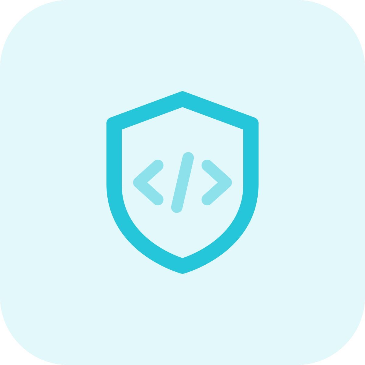 secure programming icon