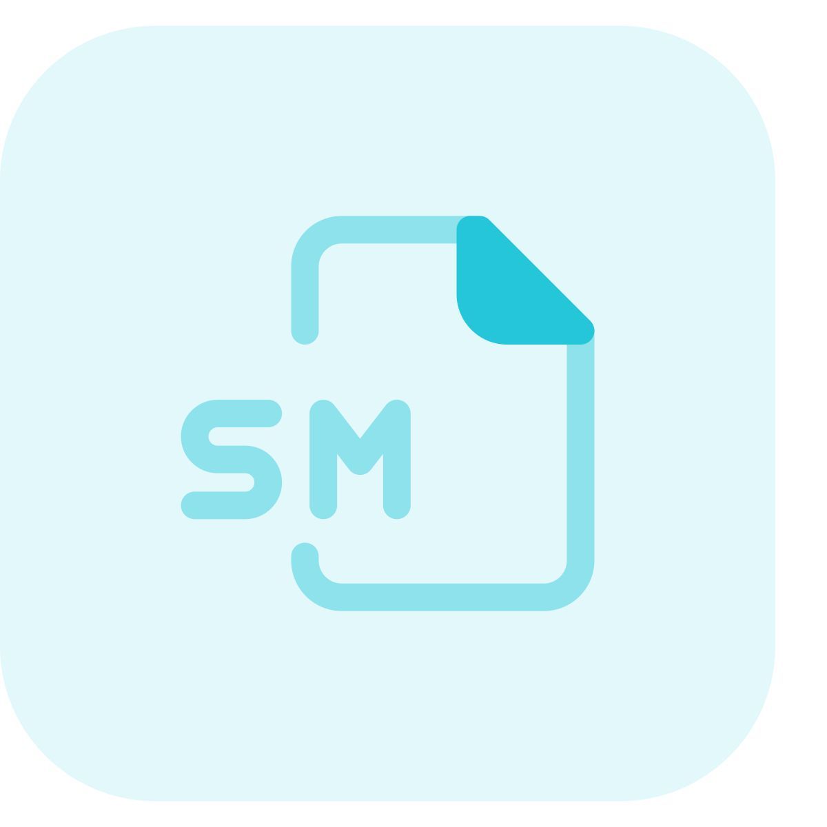 sm file icon