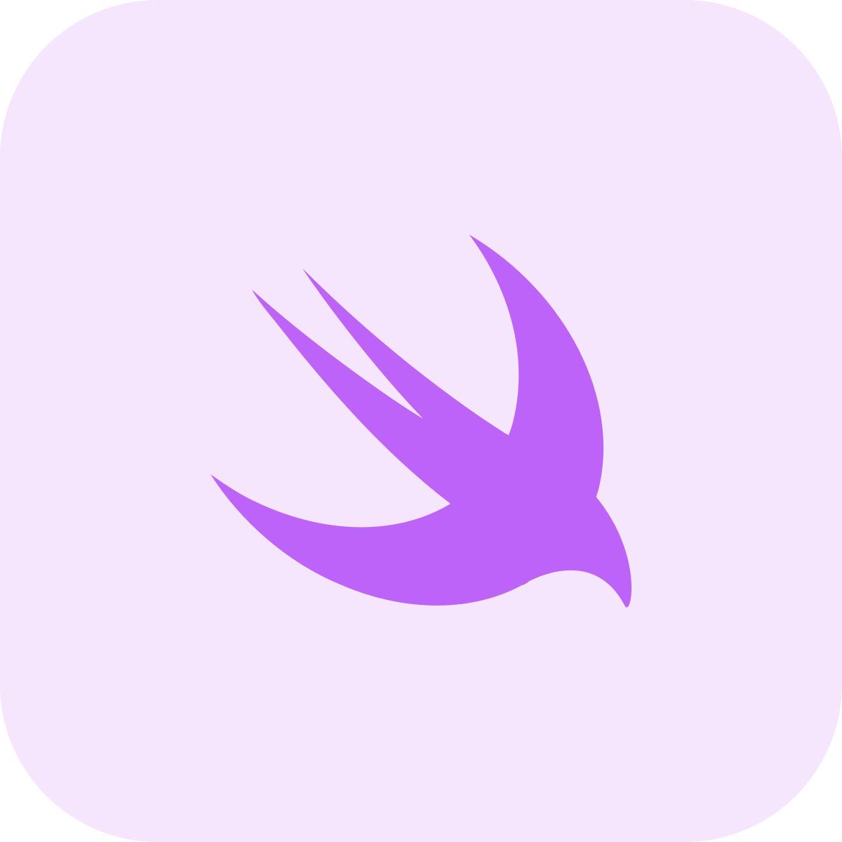 schnell icon