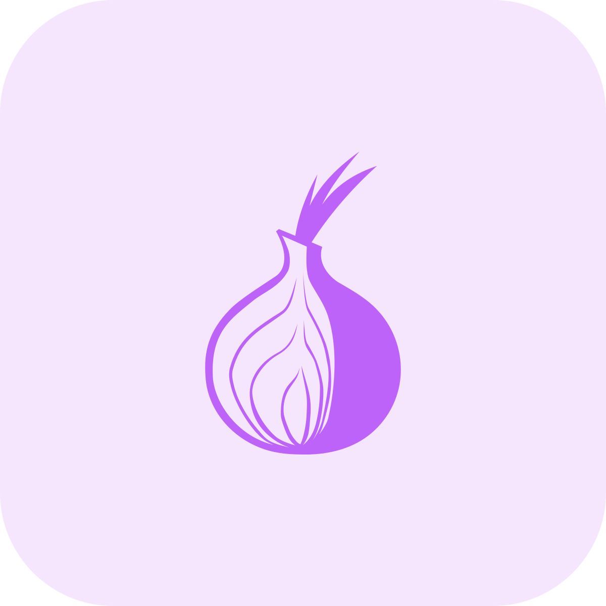 tor icon