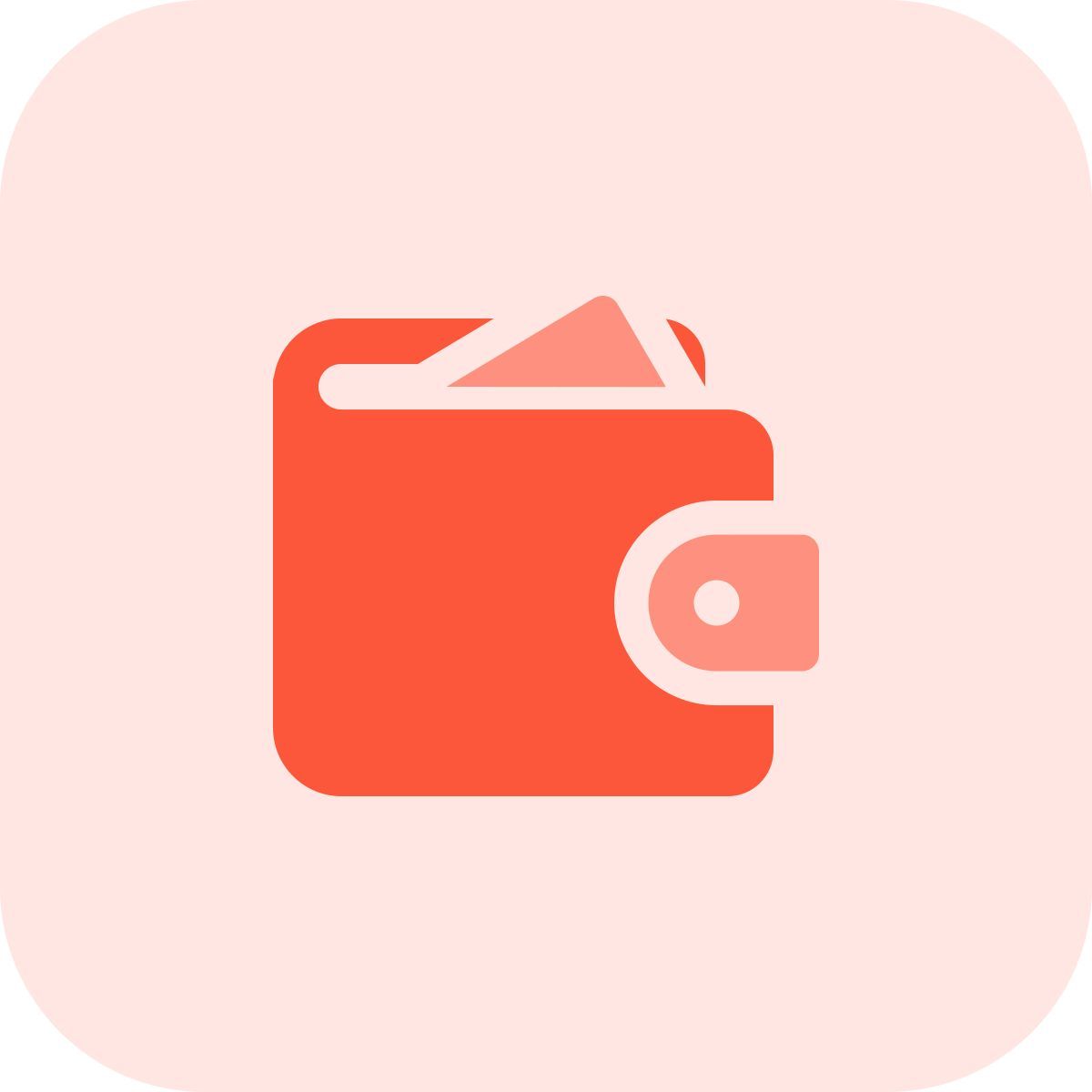 wallet with money icon