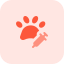 external vaccine-and-medicine-for-domestic-animals-layout-protection-tritone-tal-revivo icon
