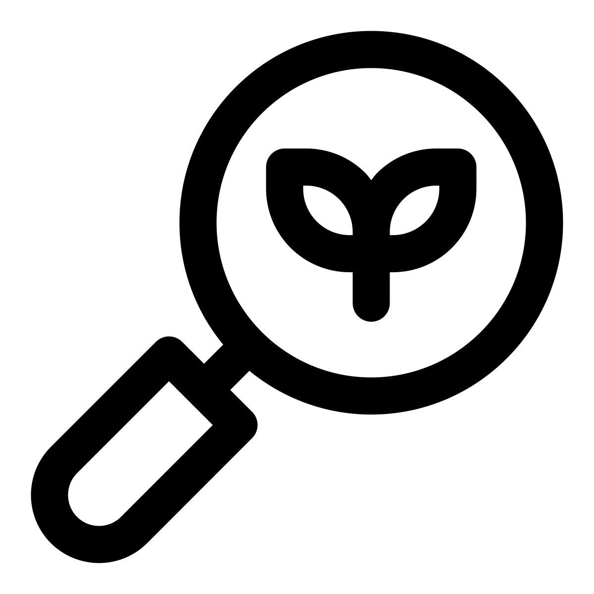 magnifying glass icon