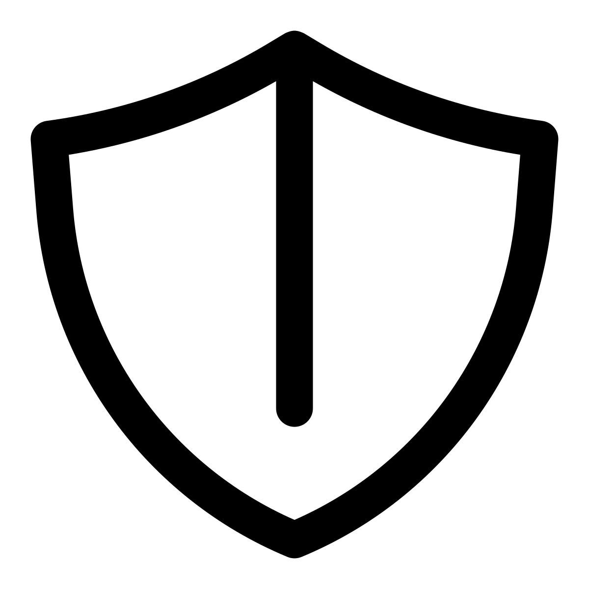 shield icon