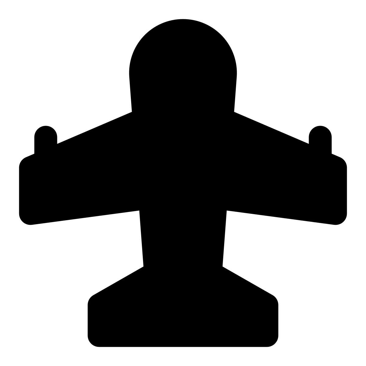 airplane icon