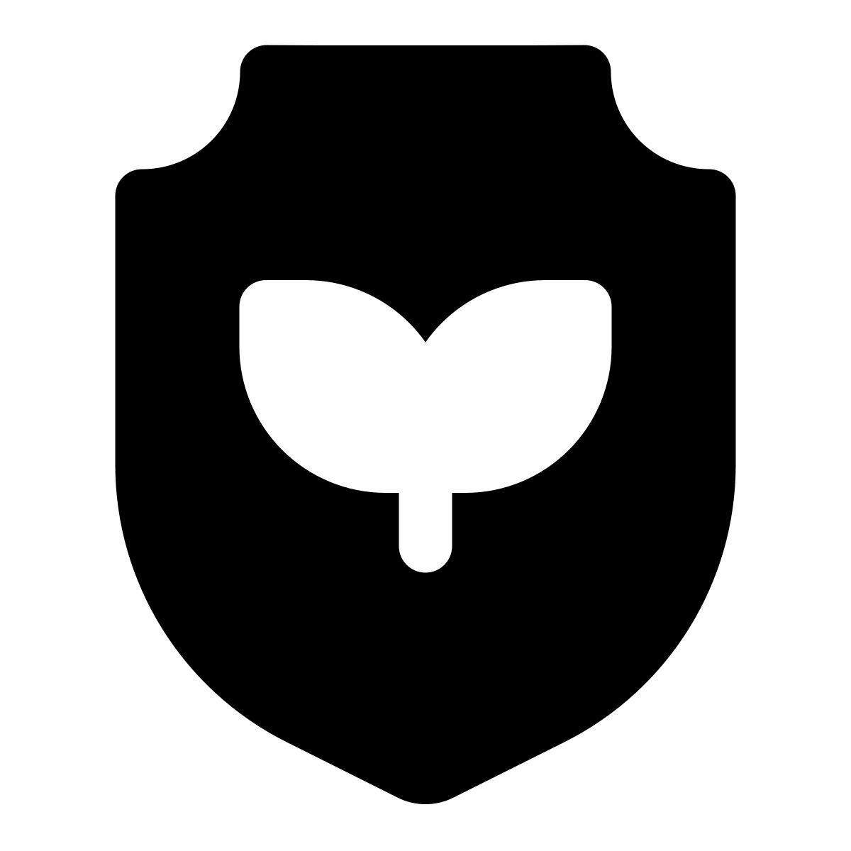 shield icon