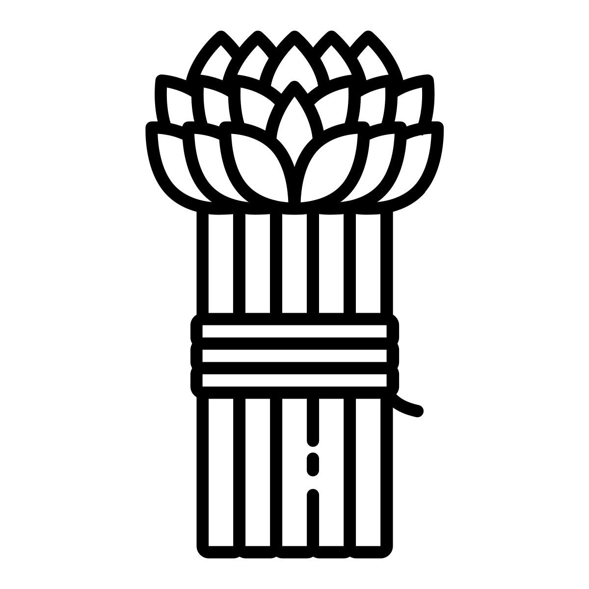 芦笋 icon