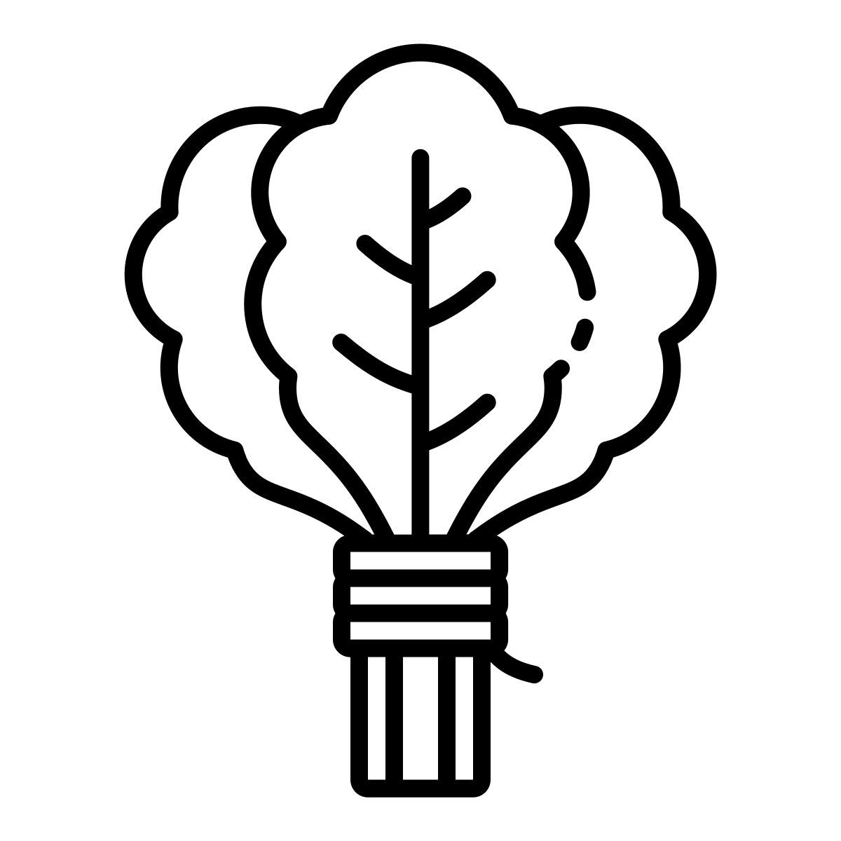 spinach icon