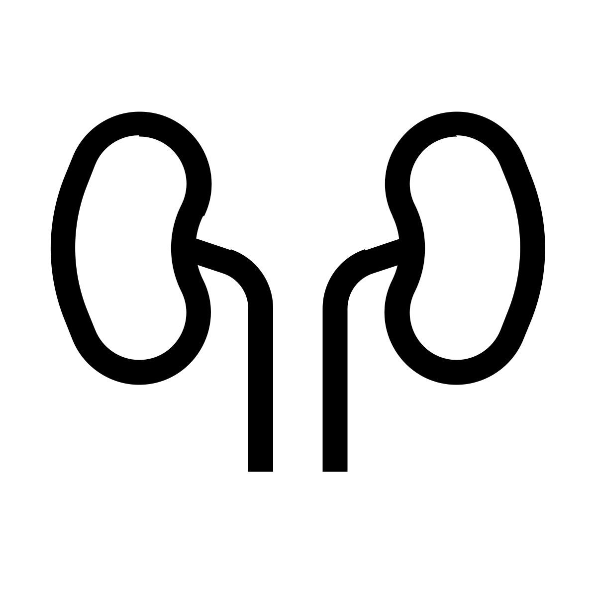 kidney icon